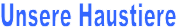 Unsere Haustiere